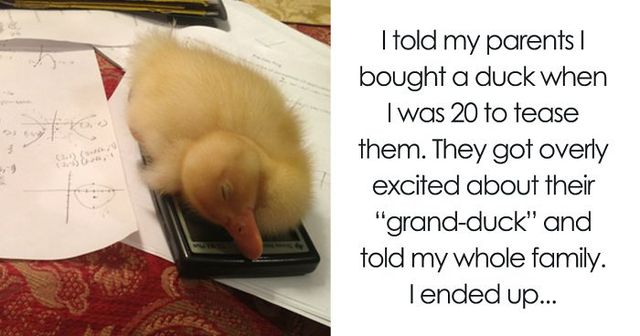 10+ Times Small Lies Escalated Into "This Is My Life Now"