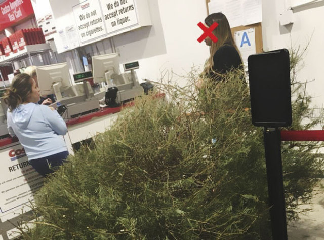Woman Returns A Dead Christmas Tree On January 4th, And The Shop's Reaction Will Make You Upset