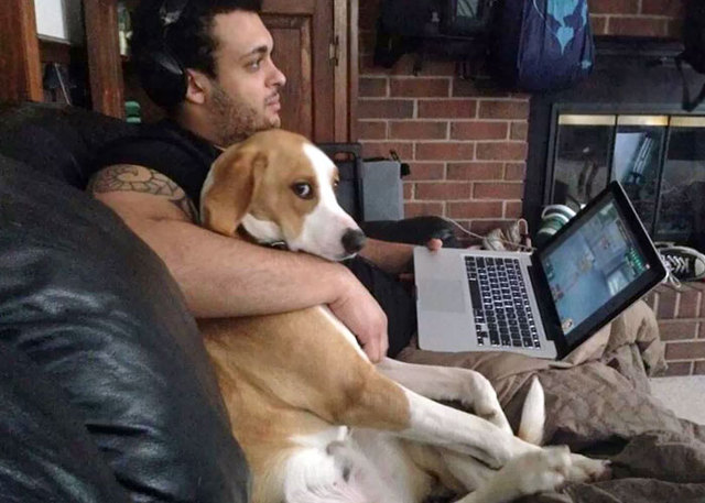 50 Times Pets Stole Their Owner's Partner And Didn't Even Feel Sorry