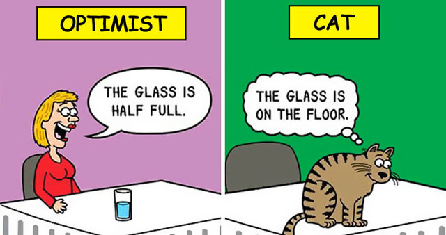 Man Draws Series Of Cat Comics For More Than 20 Years - Here Are 40 Best Ones