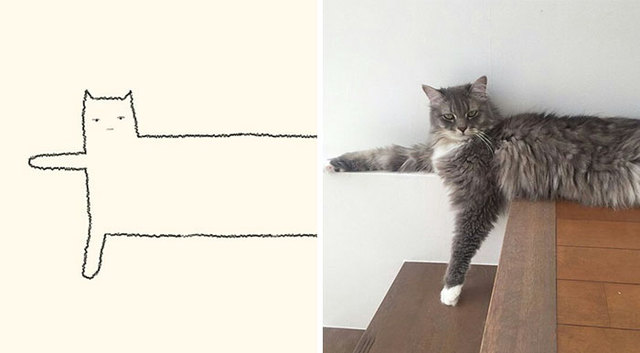 50 Times ‘Stupid Cat Drawings’ Made Everyone Laugh With How Accurate They Were