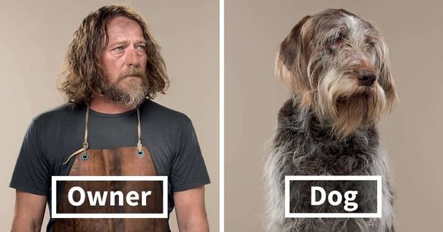 This Photographer Took Pictures Of Dogs And Their Owners Side By Side, And They Look Amazingly Alike