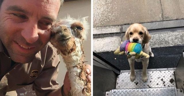 UPS Drivers Share Coolest Pictures They Captured During Work, And We Want More