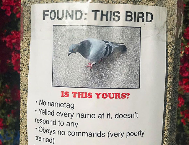 Guy Trolls His Neighborhood With Fake Posters, And People Aren't Sure If He's For Real