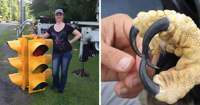 21+ Things That Will Surprise You With Their Actual Size