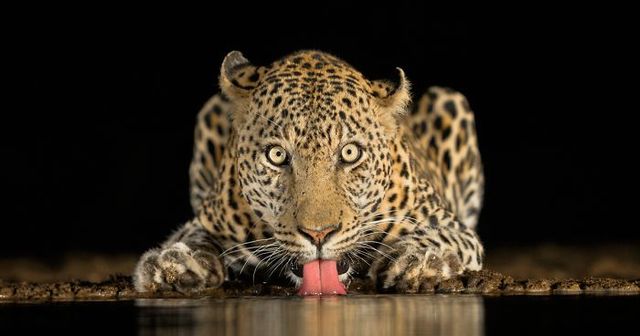 Here Are The Winners Of 2018 Sony World Photography National Awards