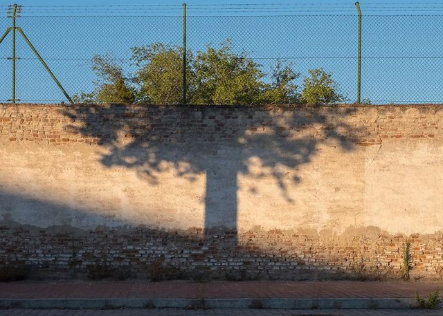 The Coincidence Project: 50 Photos That Are So Perfectly Timed, You Won't Believe They're Real