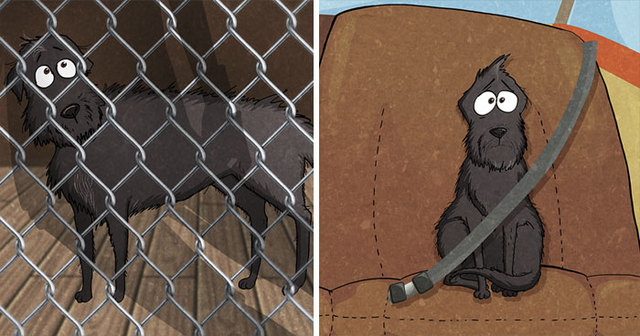 10+ Things You Learn After Adopting A Dog From A Shelter