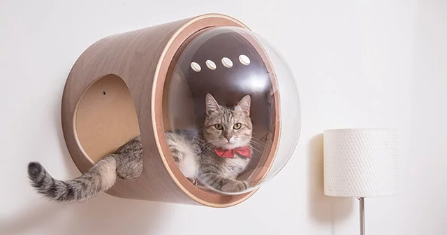 These 'Spaceship' Cat Beds Will Turn Your Cat Into A Little Astronaut
