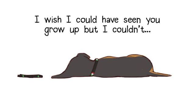 Heartbreaking Comic About Two Cute Puppies This Artist Won't See Grow Up