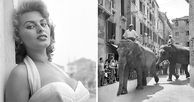 26 Vintage Photos Of Celebrities Hanging Out In Venice That Will Make You Want To Go Back To The 50s