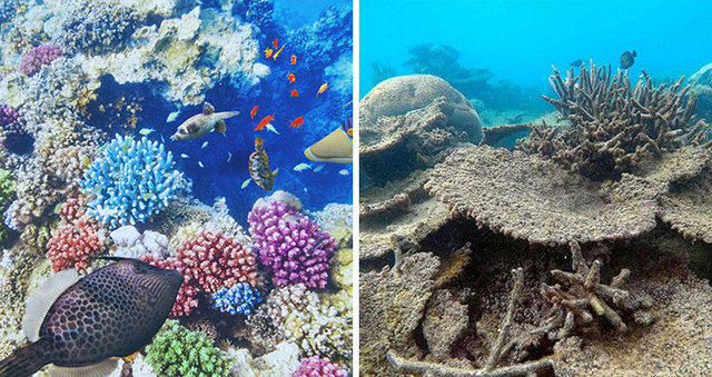 People Shared 33 Uncomfortable Nature Photos For The 10 Year Challenge