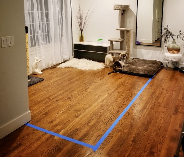 Reddit User Turns His Living Room Into A Home Office And It Looks Amazing