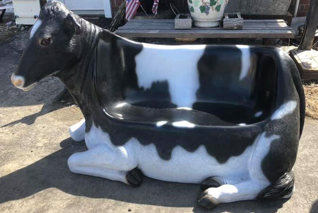30 Lucky Finds People Made In Thrift Stores (New Pics)