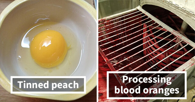 44 Confusing Things That Are Not What They Look Like
