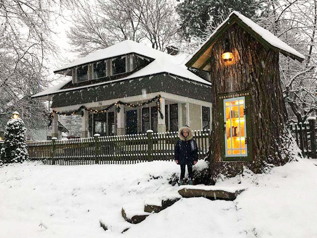 Woman Turns The Stump Of A 110-Year-Old Tree Into A Magical Little Library For The Neighborhood