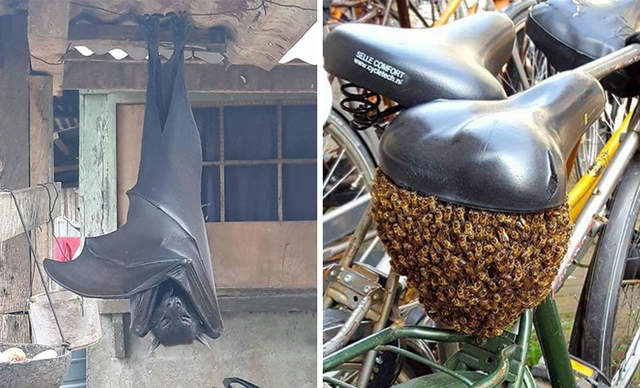 30 Times Nature Scared The Life Out Of Us