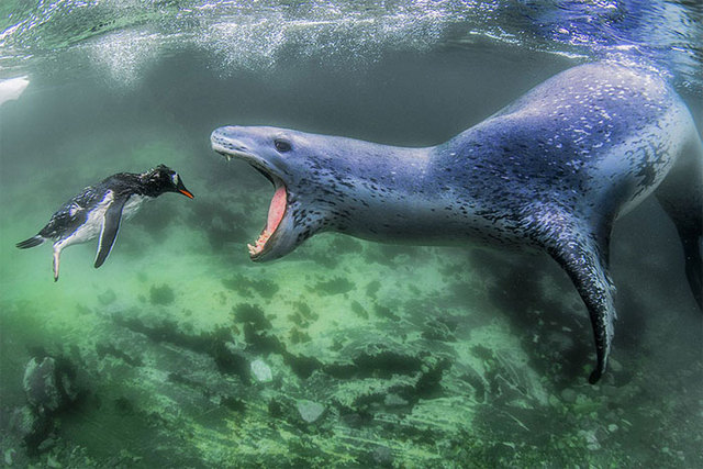 20+ Stunning Winning Photos Of The 2018 Siena International Photo Awards
