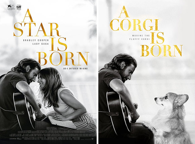 What If A Corgi Starred In These Famous Movies Instead Of Their Actual Actors (13 Pics)