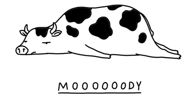 27 Moody Animal Puns That Will Remind You That It's OK To Be Sad
