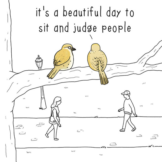 26 Funny Comics By Jimmy Craig Showing What Birds Would Say If They Could Talk