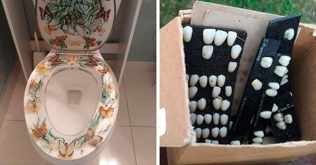 30 Weirdest Things People Stumbled Upon In Thrift Stores (New Pics)