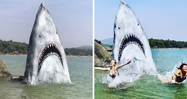 Graffiti Artist Jimmy Swift Turns Beach Stone Into A Great White Shark And People Love It