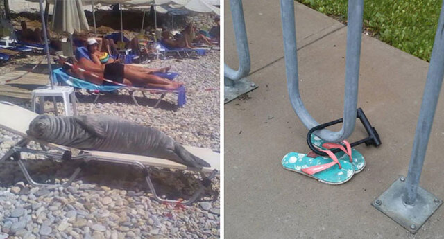 30 Most Interesting Things People Found On The Beach