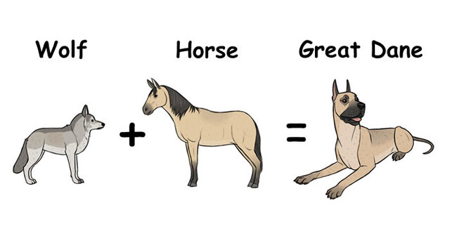 This Artist Tried Imagining The Origins Of Well-Known Dog Breeds And It's Hilarious