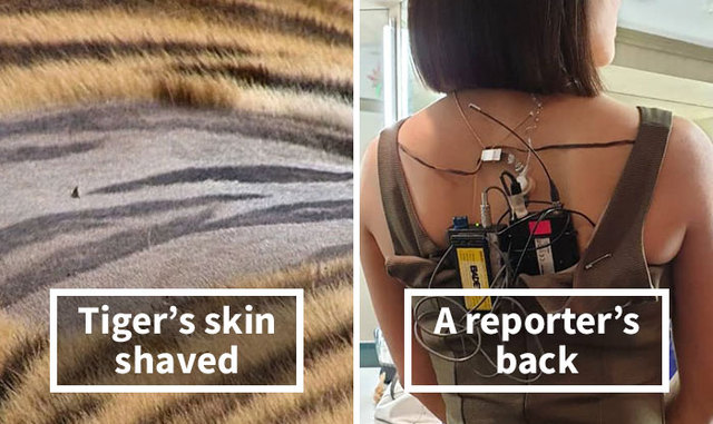 39 Photos Revealing The Hidden Side Of Things