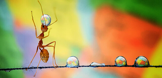 50 Best Photos Were Selected From The 130,000 Submissions To The AGORA Awards Photography Contest 2019