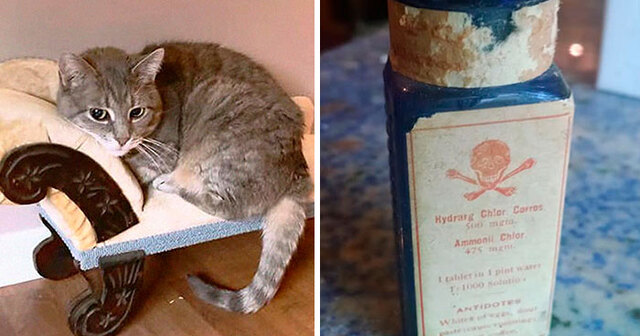 People Are Sharing The Weirdest Things They've Found In Thrift Stores (35 Pics)