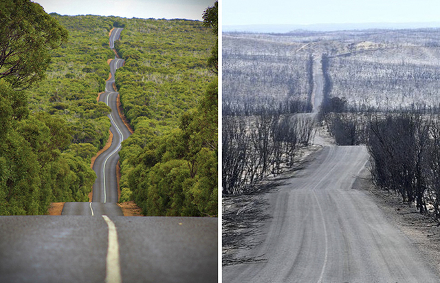 21 Then And Now Photos Of Australia That Show The Immense Damage Caused By The Bushfires