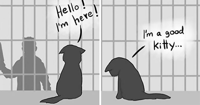 The Creator Of The "Good Boy" And "Black Cat" Comics Is Back With A Sequel