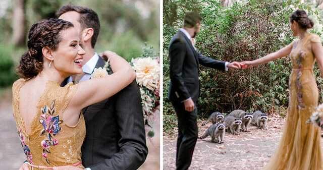 A Group Of Sneaky Raccoons Crashes A Wedding Photoshoot And It's Both Hilarious And Adorable