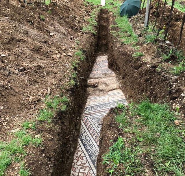 A Perfectly Preserved Ancient Roman Mosaic Floor Gets Uncovered In An Italian Vineyard