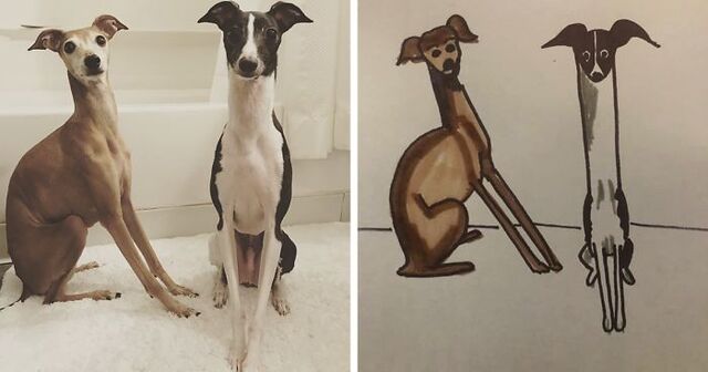 Humane Society Now Offers Bad Drawings Of Your Pets For $15 Donations
