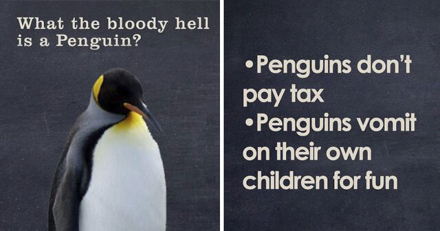 30 Brutally Honest Animal Bios By Dave