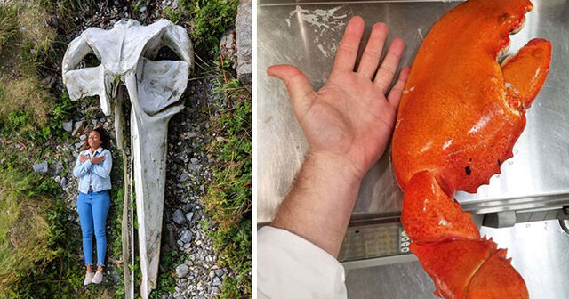 40 Of The Most Interesting Comparison Photos (New Pics)