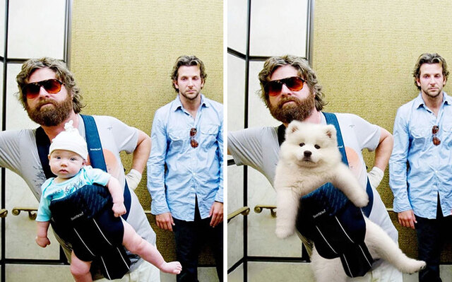 This Woman Replaces Actors In Famous Movie Scenes With Her Samoyeds (13 Pics)