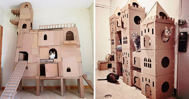 Instead Of Throwing Out Old Cardboard Boxes, People Are Turning Them Into Amazing Cat Forts (20 Pics)