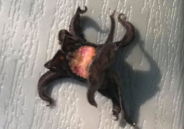 40 Times People Found Weird Things And Internet 'Detectives' Came To Help (New Pics)
