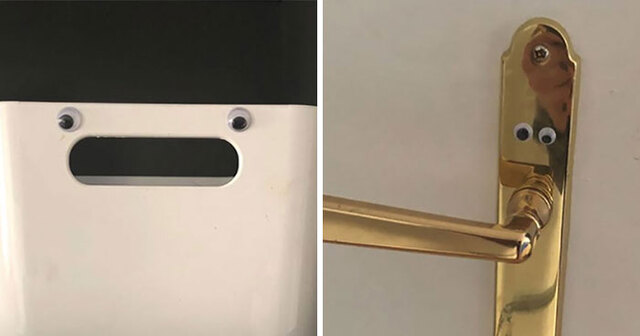 Girlfriend Spends 2 Hours Sticking Over 400 Googly Eyes On Her Boyfriend's Things