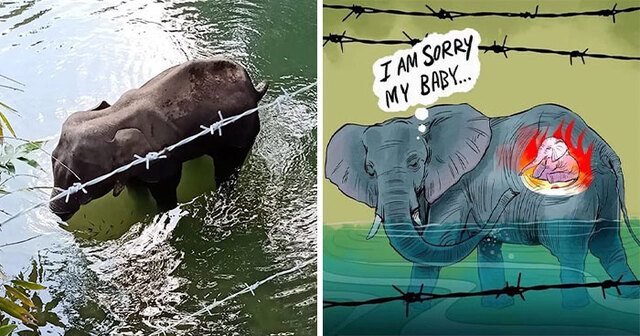 37 Artists Pay Tribute To The Pregnant Elephant That Died After Someone Stuffed A Pineapple Full Of Fireworks