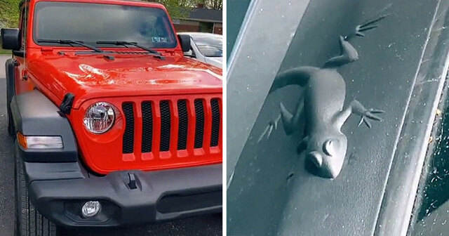 Here Are Some Of The Funniest 'Easter Eggs' People Found In Their Jeeps