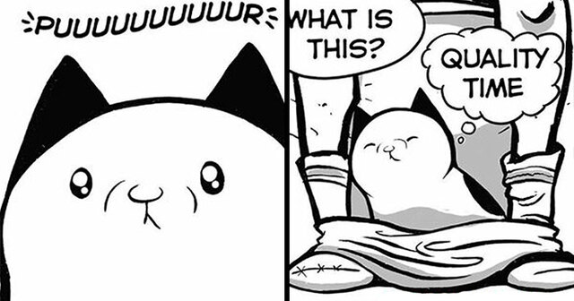 20 Funny Comics By Lucas Turnbloom That Perfectly Capture What It's Like To Own A Cat