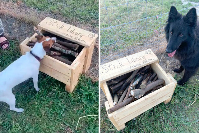 This Man Built A Stick Library Where Dogs Can "Rent" A Stick