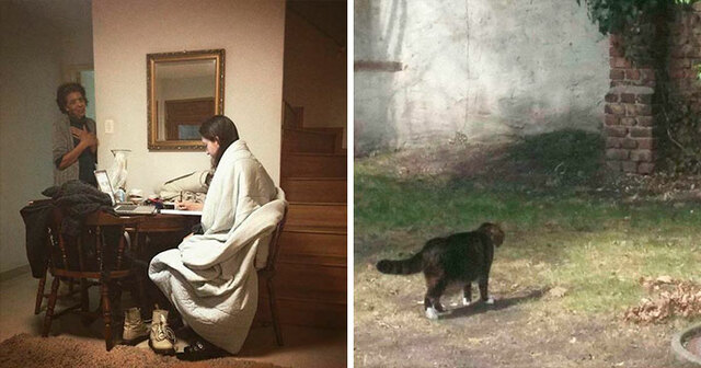 30 Times People Took Photos And They Ended Up Looking Like Renaissance Paintings
