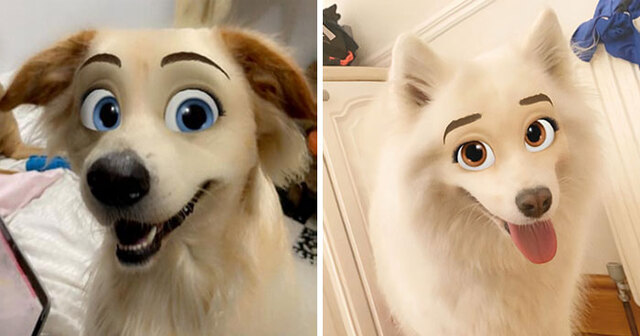 Turn Your Pet Into A Disney Character With This New Snapchat Filter (20 Pics)