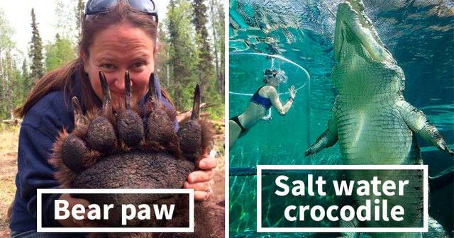 30 Surprising Comparison Photos Revealing The True Size Of Animals